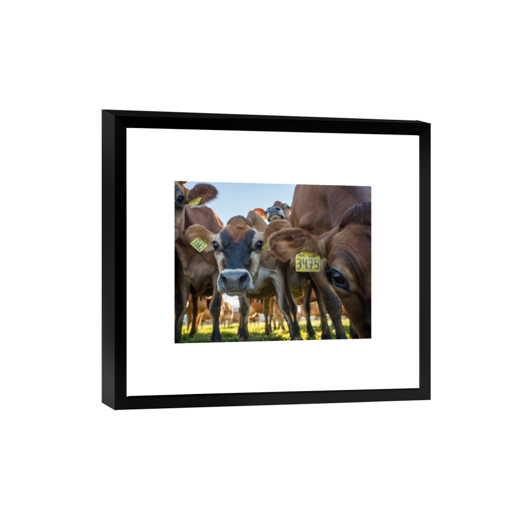 smartframe_rectangle4_5_658_0_3226_2581_0.png