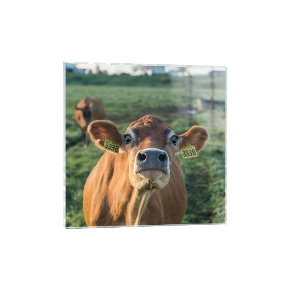 acrylicprint_square_0_645_2581_2581_0.png