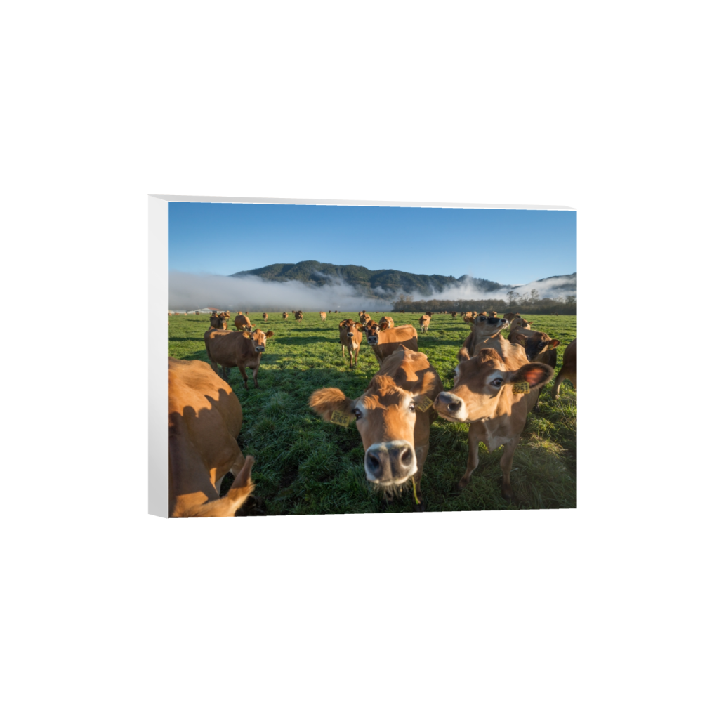 canvas_rectangle3_4_215_0_3441_2581_0.png