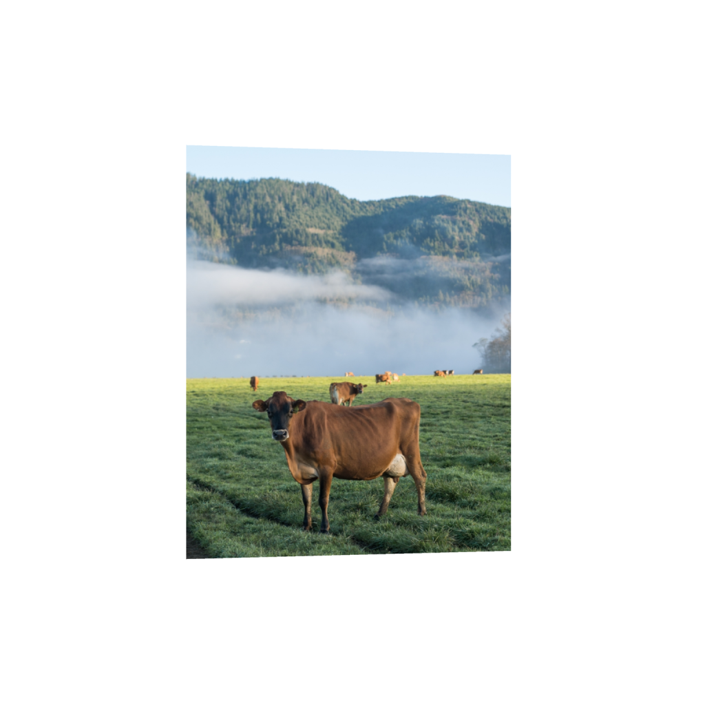 fineartprints_rectangle4_5_0_484_2581_3226_0.png