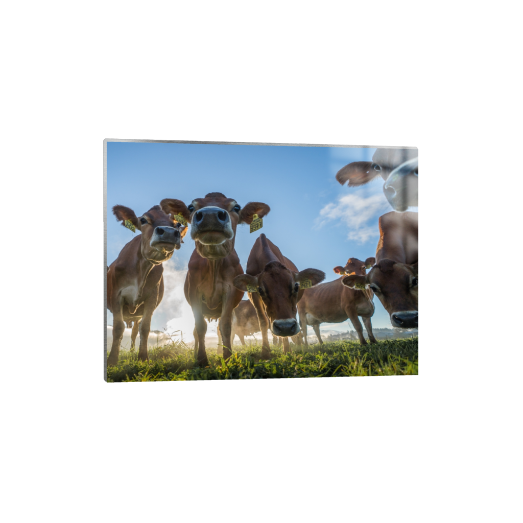 metalprint_rectangle3_4_1060_0_3162_2372_0.png