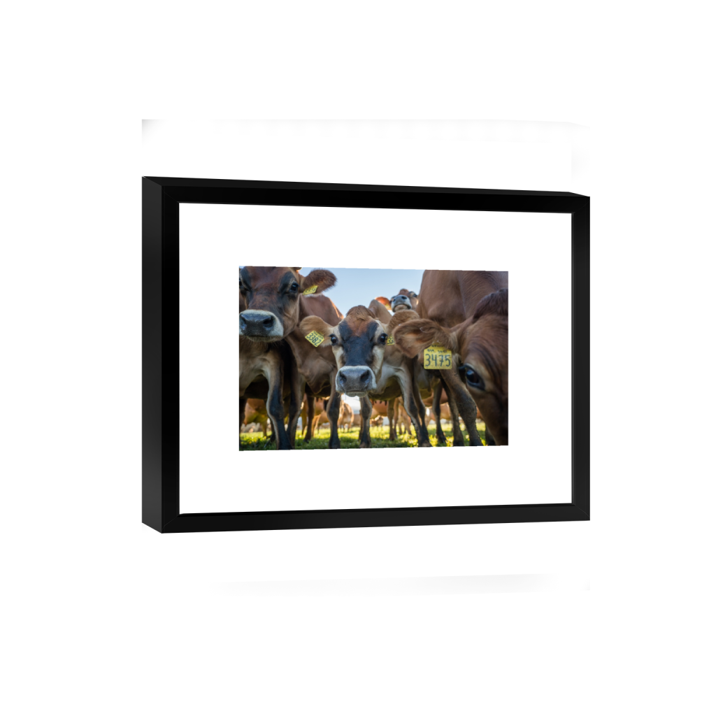 smartframe_rectangle2_3_0_0_3871_2581_0.png