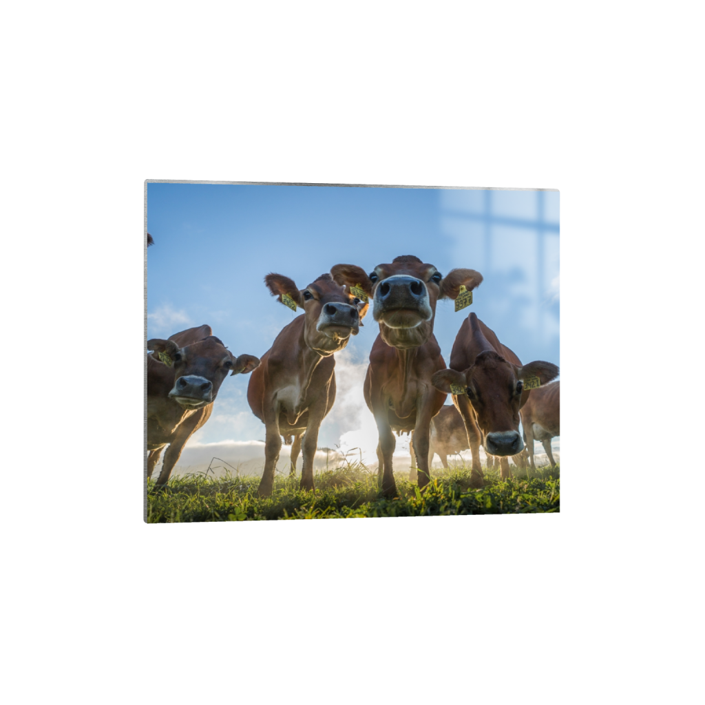metalprint_rectangle4_5_320_0_2965_2372_0.png