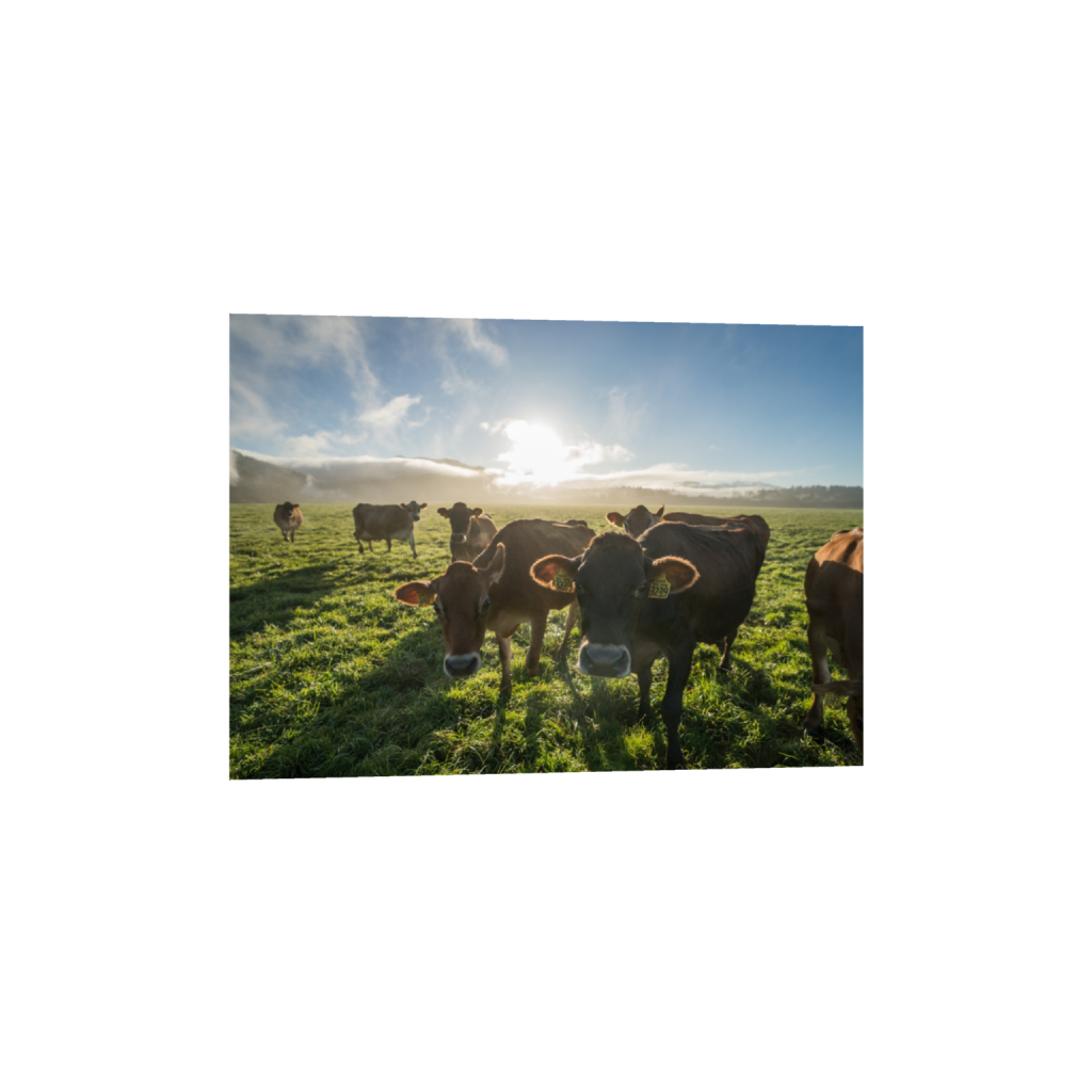 fineartprints_rectangle5_7_129_0_3613_2581_0.png
