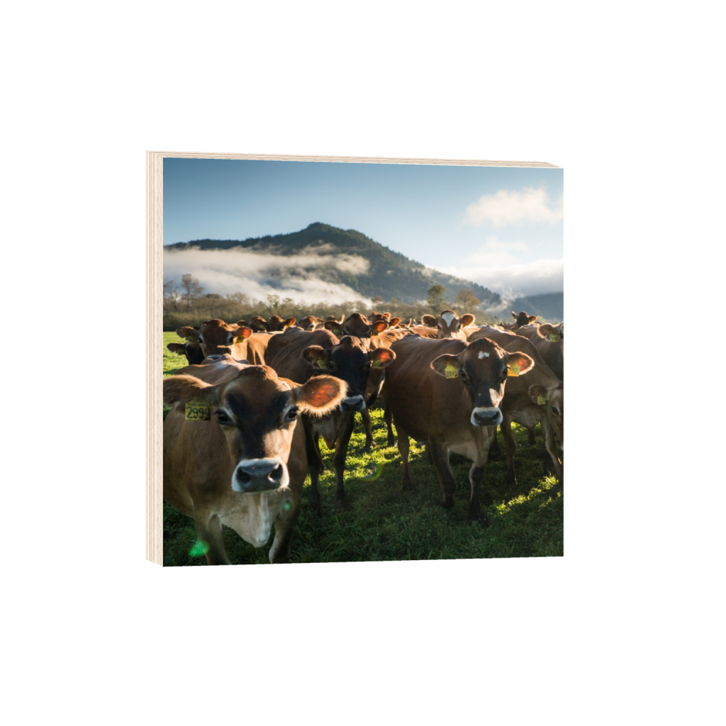 woodprint_square_0_0_2372_2372_0.png