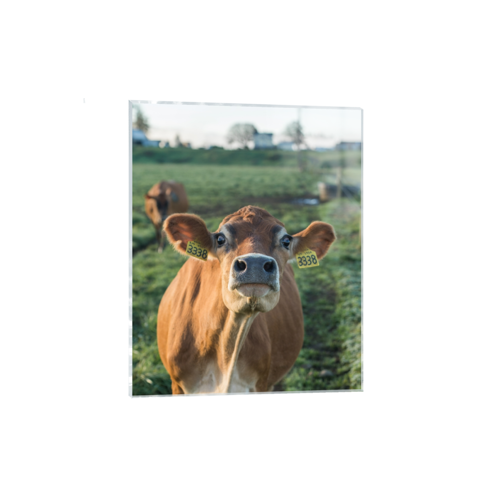 acrylicprint_rectangle4_5_0_322_2581_3226_0.png