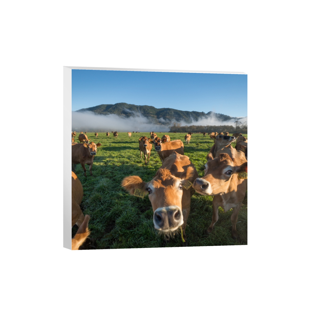 canvas_square_645_0_2581_2581_0.png