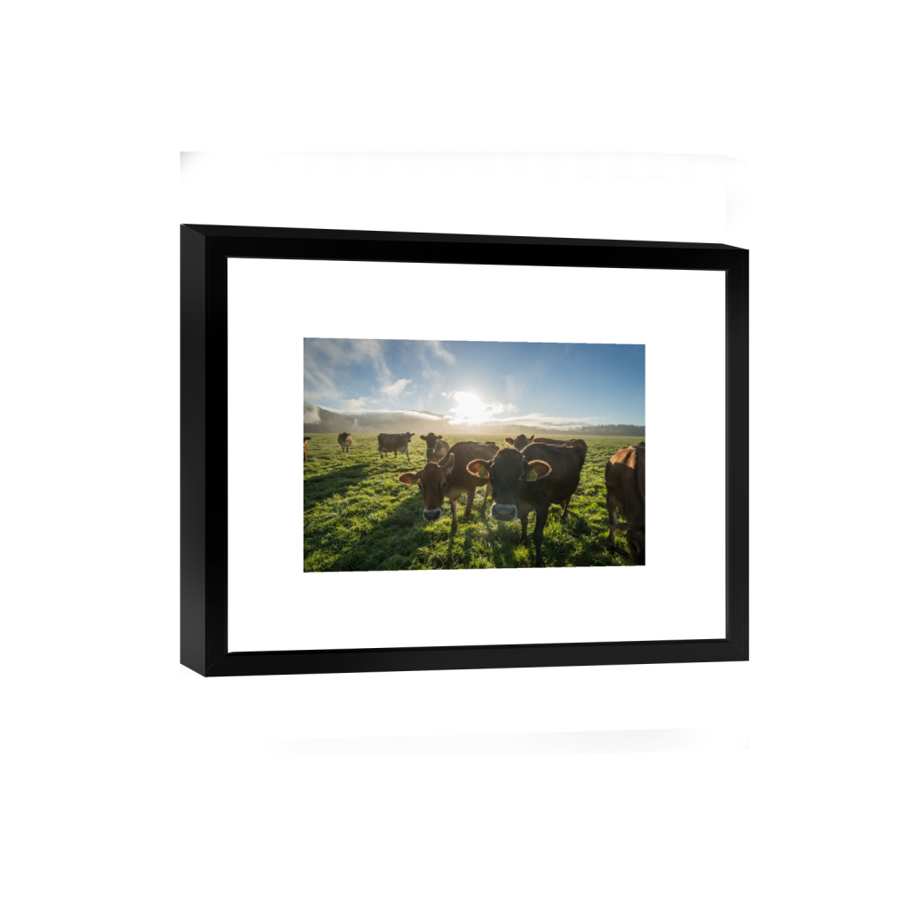 smartframe_rectangle2_3_0_0_3871_2581_0.png