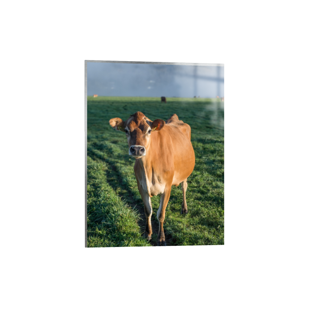 metalprint_rectangle3_4_0_431_2581_3441_0.png