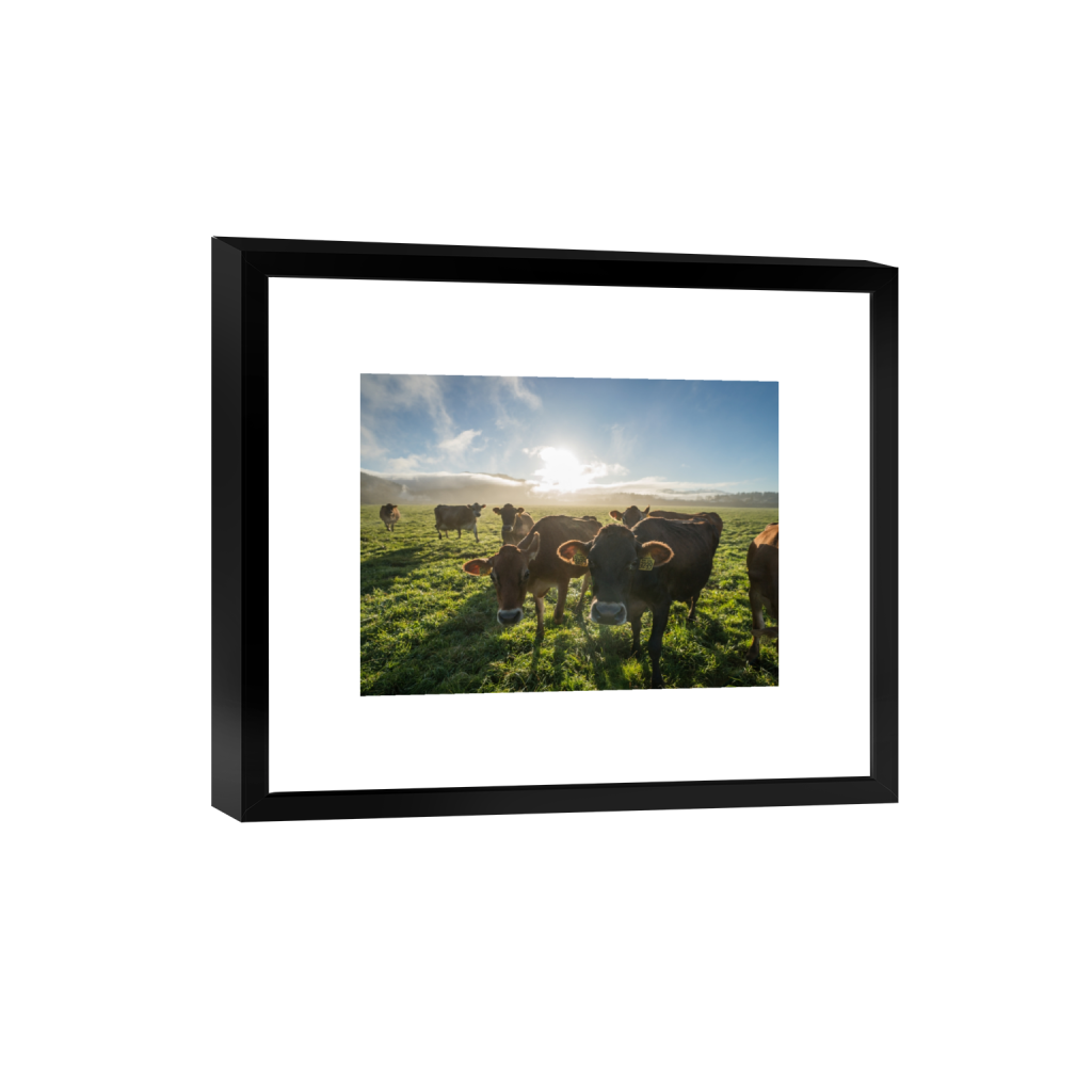 smartframe_rectangle3_4_215_0_3441_2581_0.png