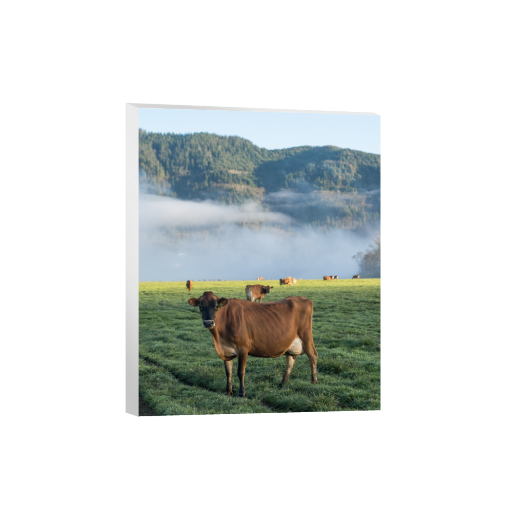 canvas_rectangle4_5_0_484_2581_3226_0.png