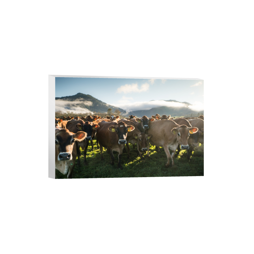 canvas_rectangle2_3_328_0_3558_2372_0.png