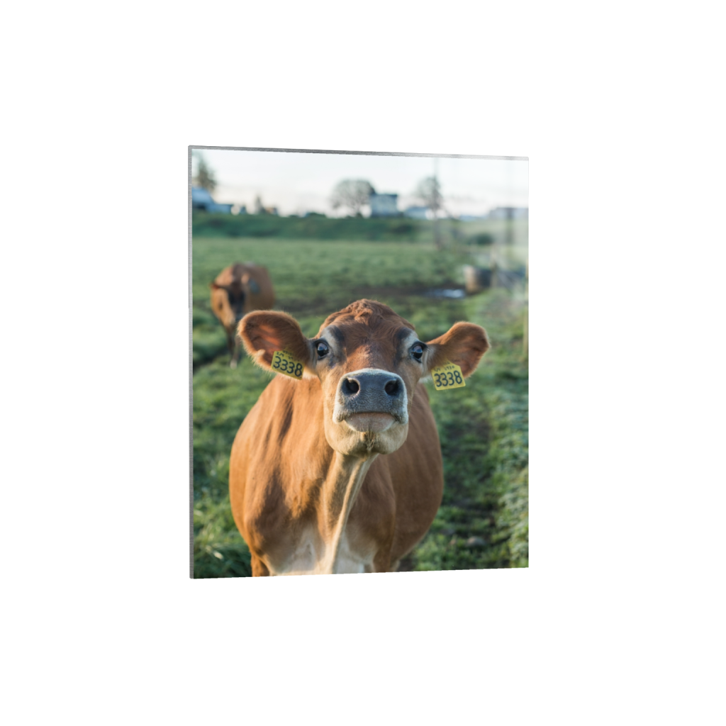 metalprint_rectangle4_5_0_322_2581_3226_0.png