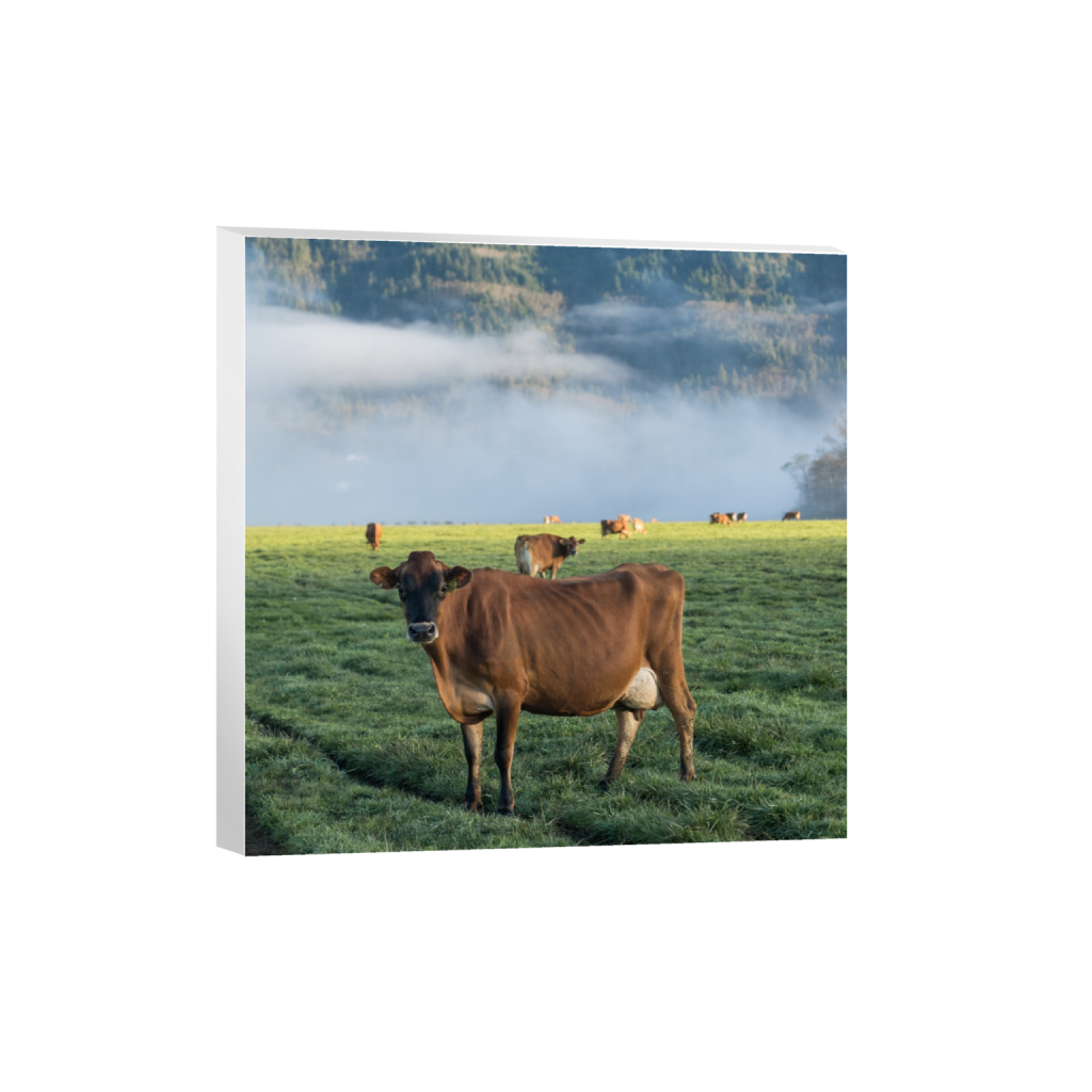 canvas_square_0_1096_2581_2581_0.png