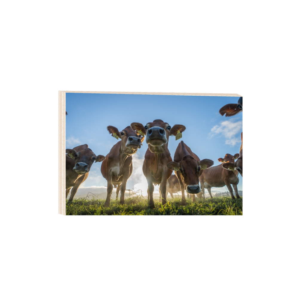 woodprint_rectangle2_3_328_0_3558_2372_0.png