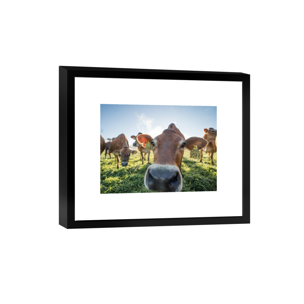 smartframe_rectangle3_4_439_0_3441_2581_0.png