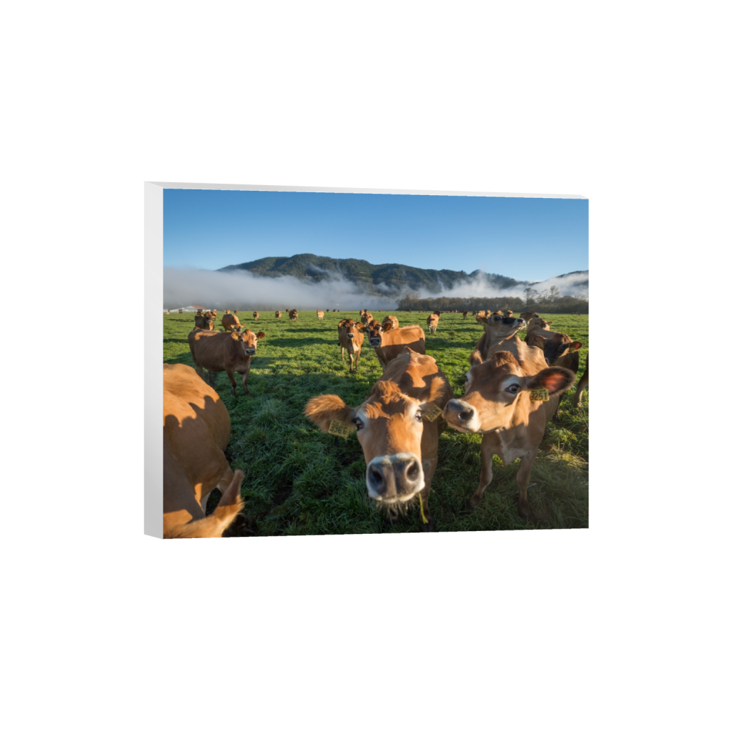 canvas_rectangle4_5_322_0_3226_2581_0.png