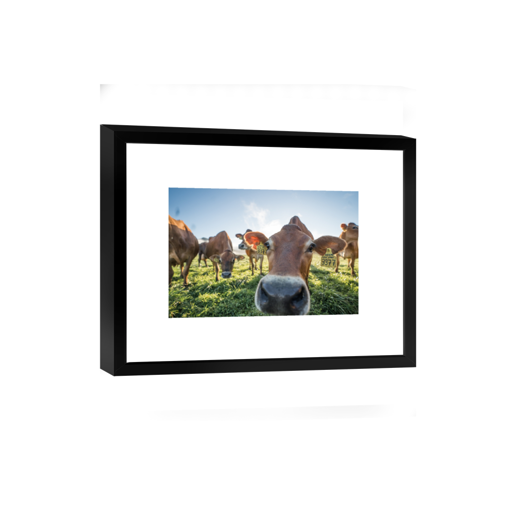 smartframe_rectangle2_3_0_0_3871_2581_0.png