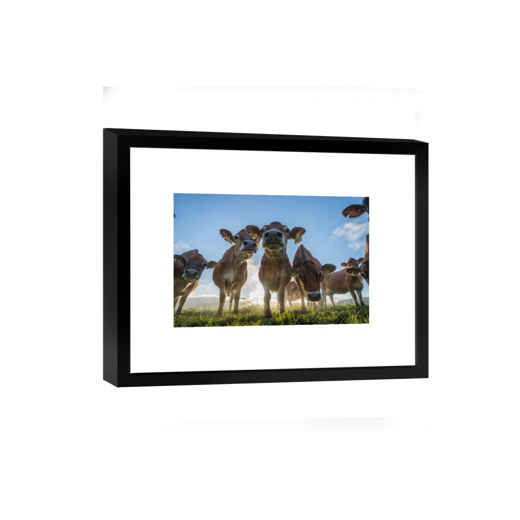 smartframe_rectangle2_3_328_0_3558_2372_0.png