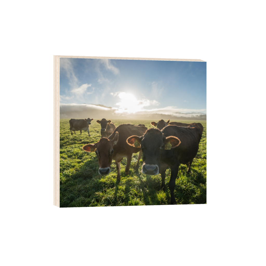 woodprint_square_632_0_2581_2581_0.png