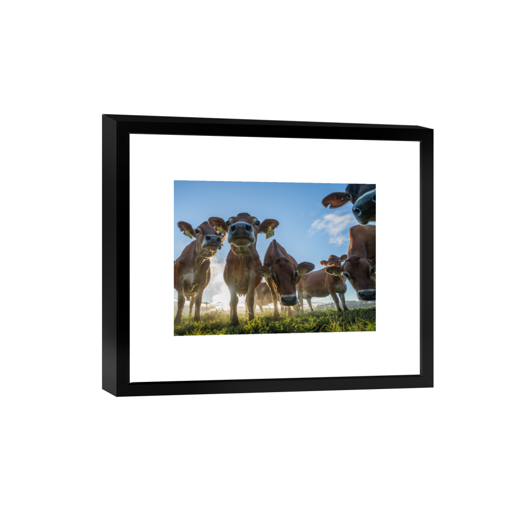 smartframe_rectangle3_4_1060_0_3162_2372_0.png