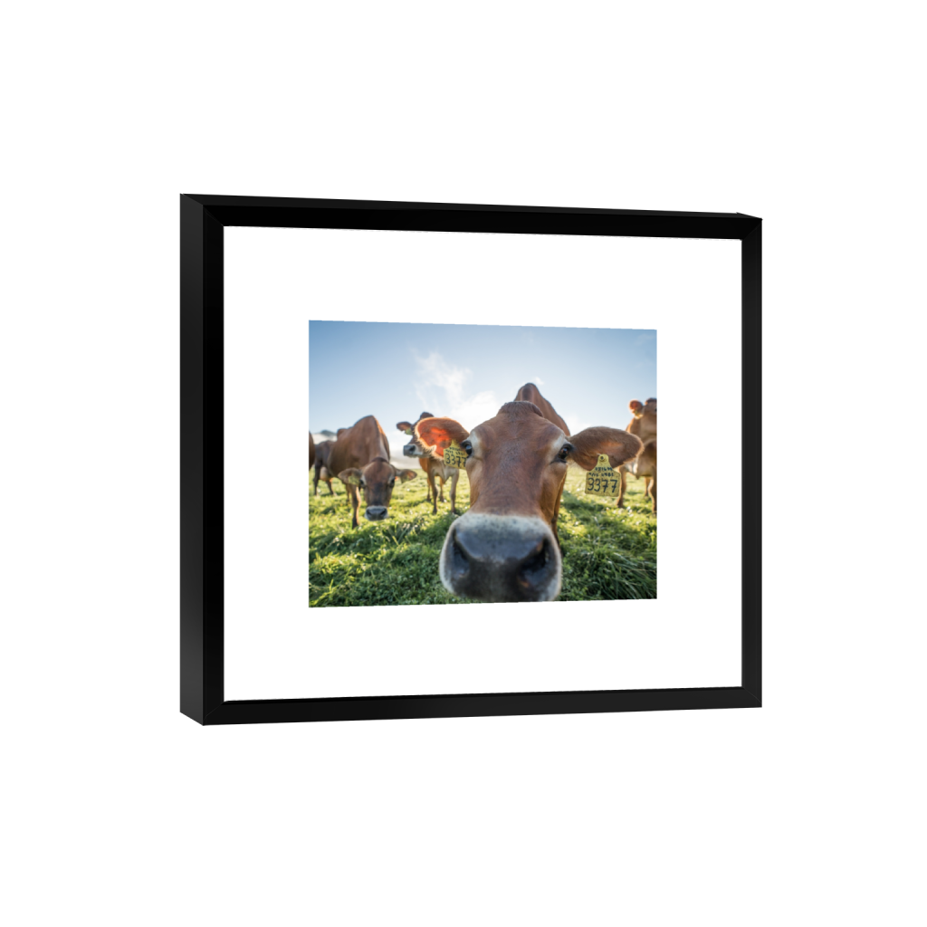 smartframe_rectangle4_5_529_0_3226_2581_0.png