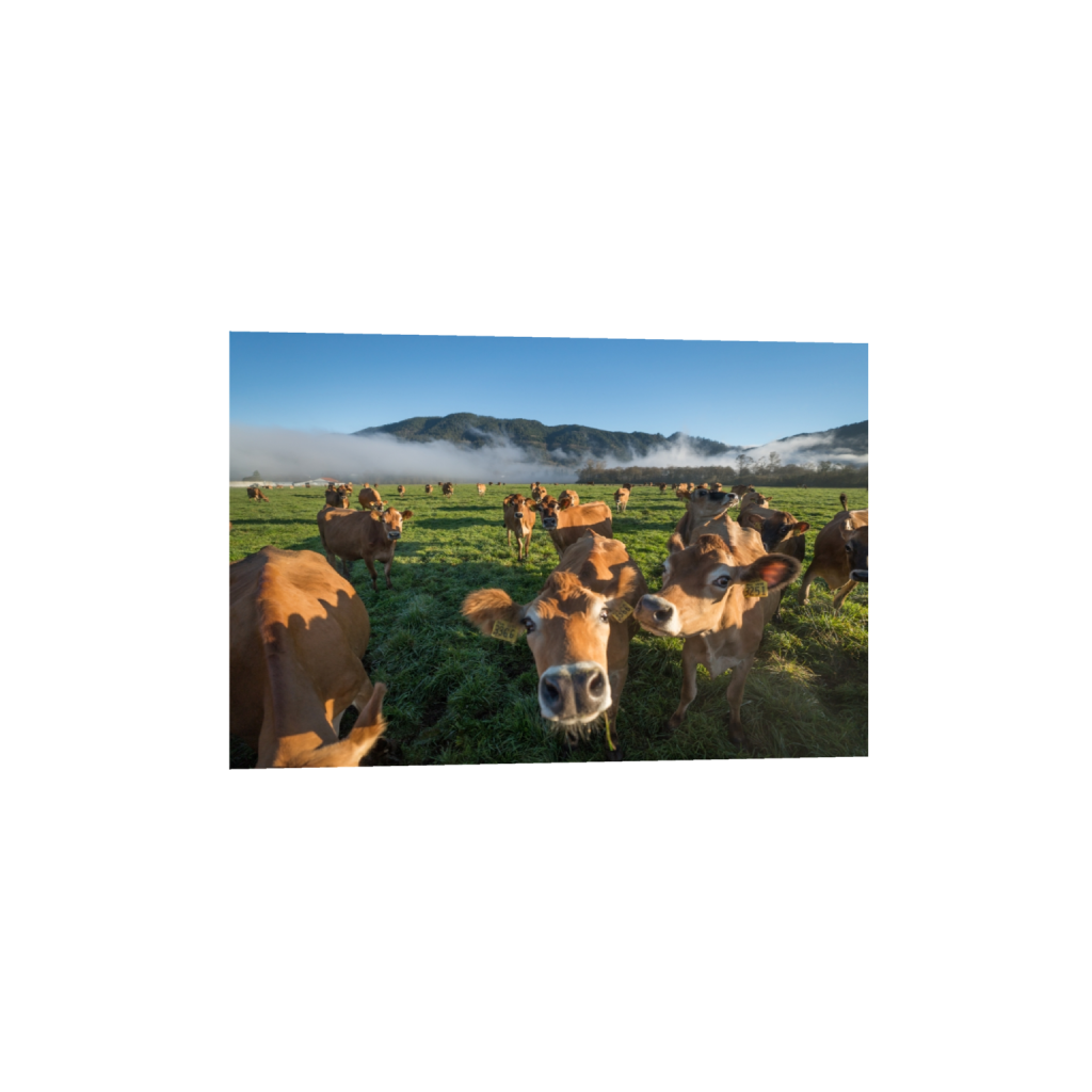 fineartprints_rectangle2_3_0_0_3871_2581_0.png