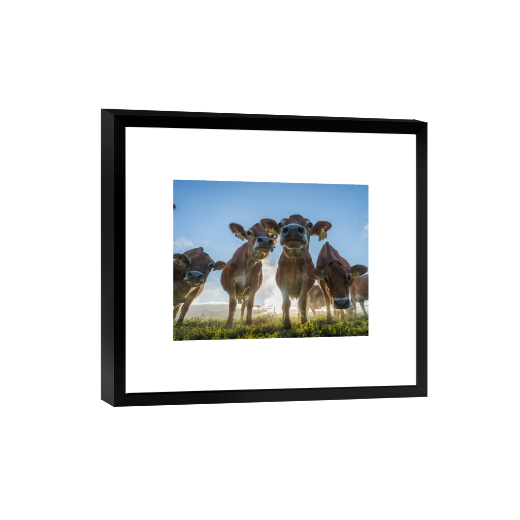 smartframe_rectangle4_5_320_0_2965_2372_0.png