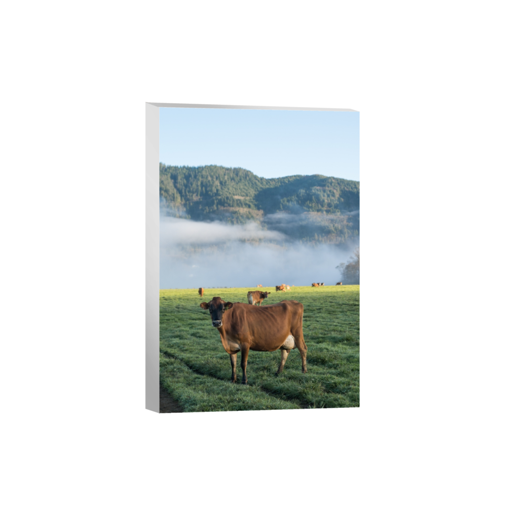 canvas_rectangle2_3_0_0_2581_3871_0.png