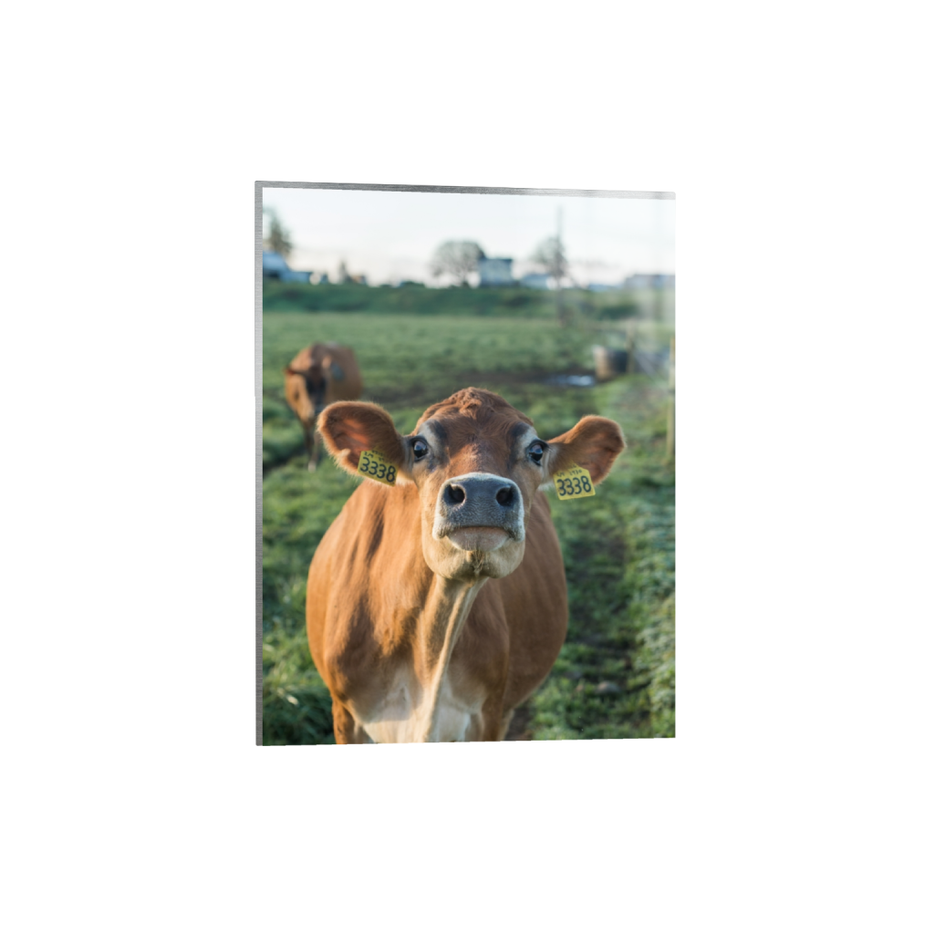 metalprint_rectangle3_4_0_215_2581_3441_0.png