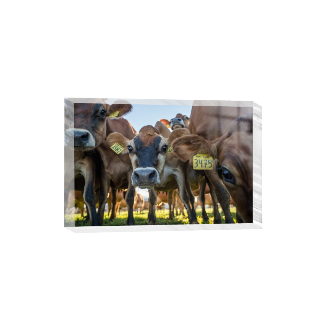 acrylicdesktopprint_rectangle2_3_0_0_3871_2581_0.png