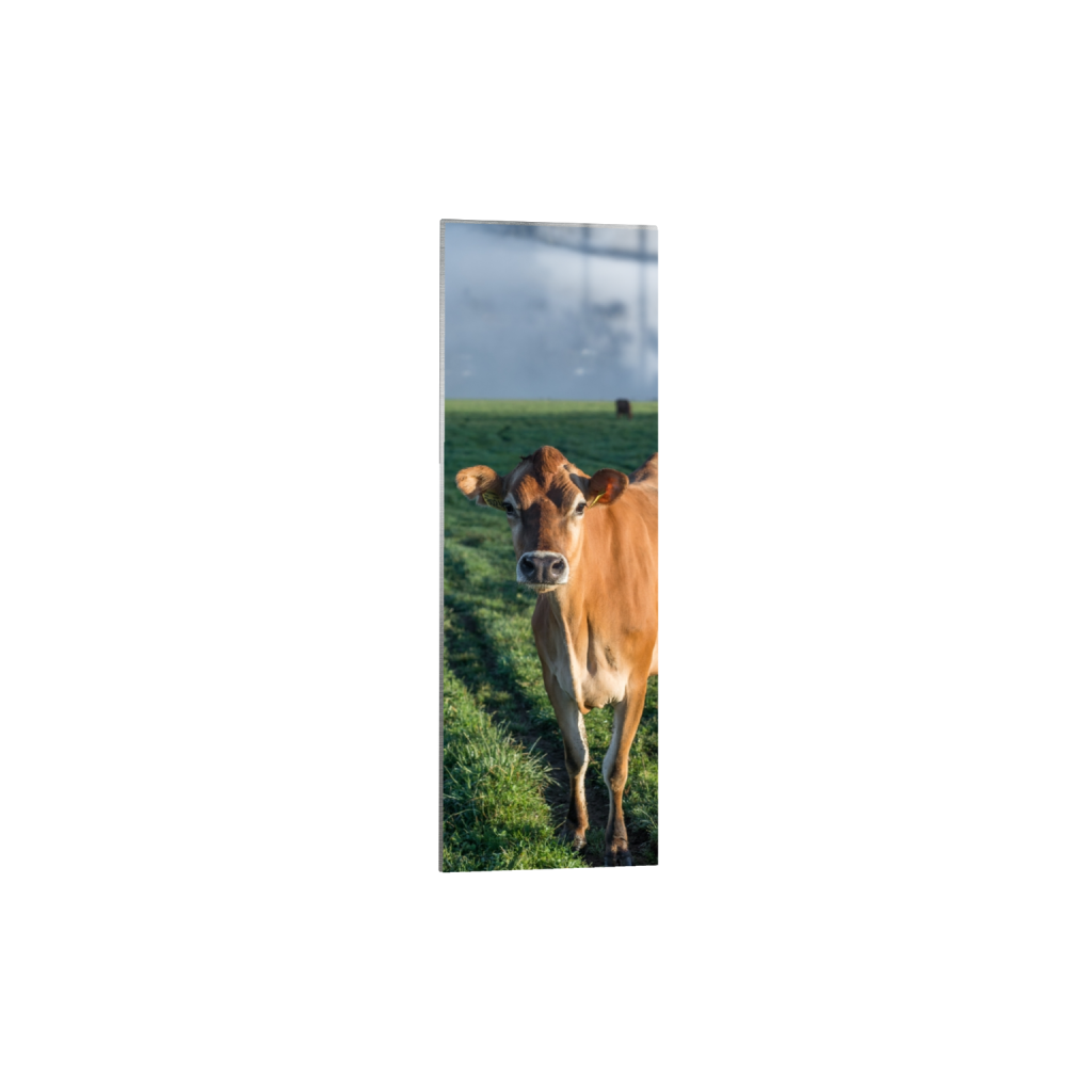 metalprint_rectangle1_3_329_0_1290_3872_0.png