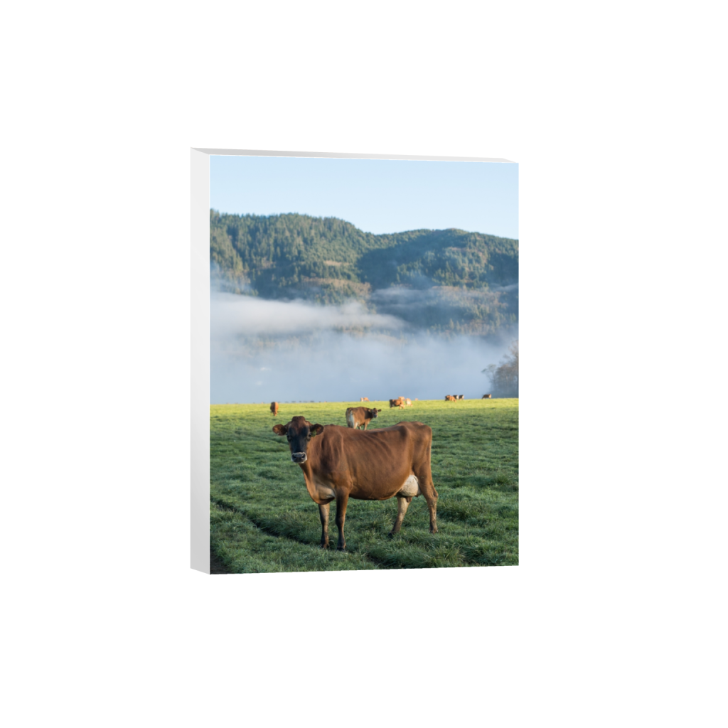 canvas_rectangle3_4_0_258_2581_3441_0.png