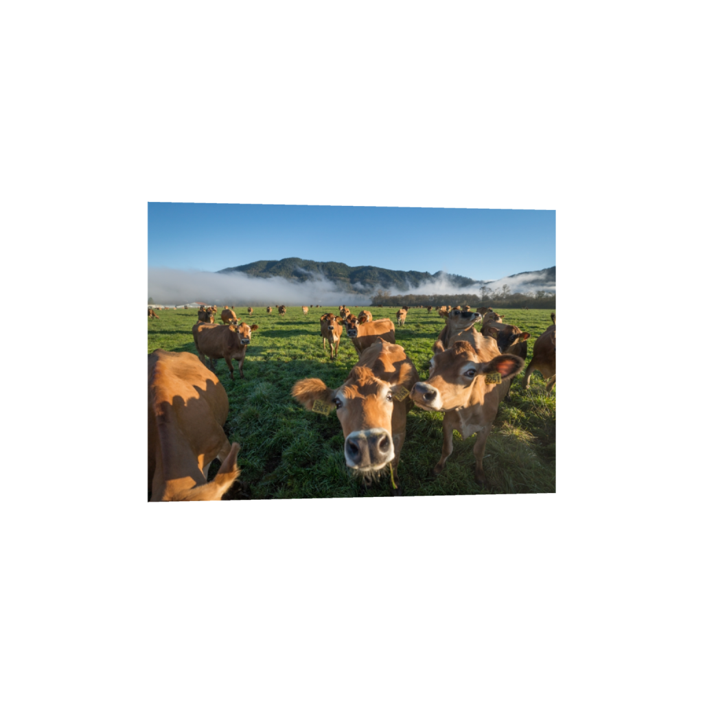 fineartprints_rectangle5_7_129_0_3613_2581_0.png
