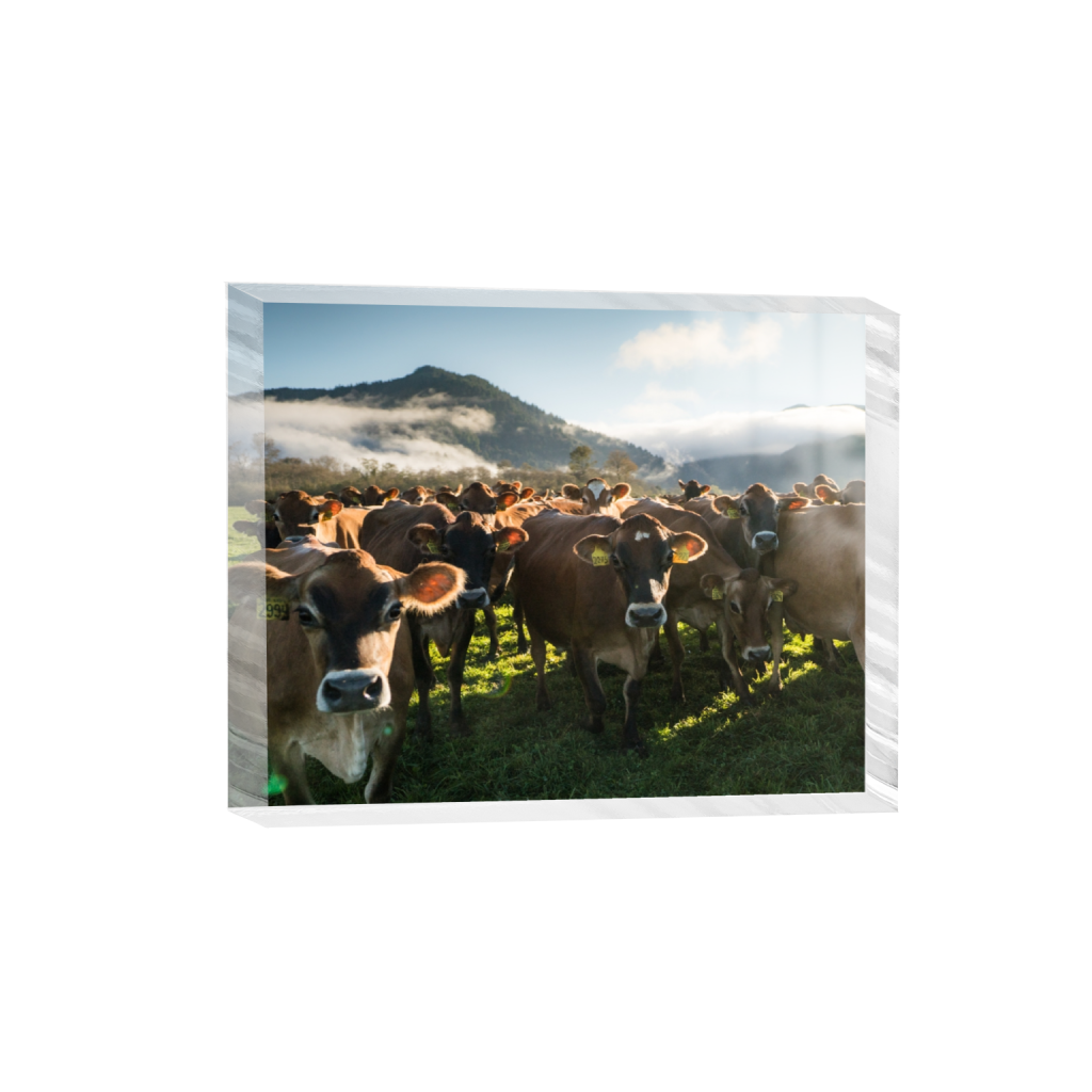 acrylicdesktopprint_rectangle4_5_0_0_2965_2372_0.png