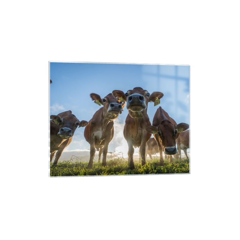 acrylicprint_rectangle4_5_320_0_2965_2372_0.png