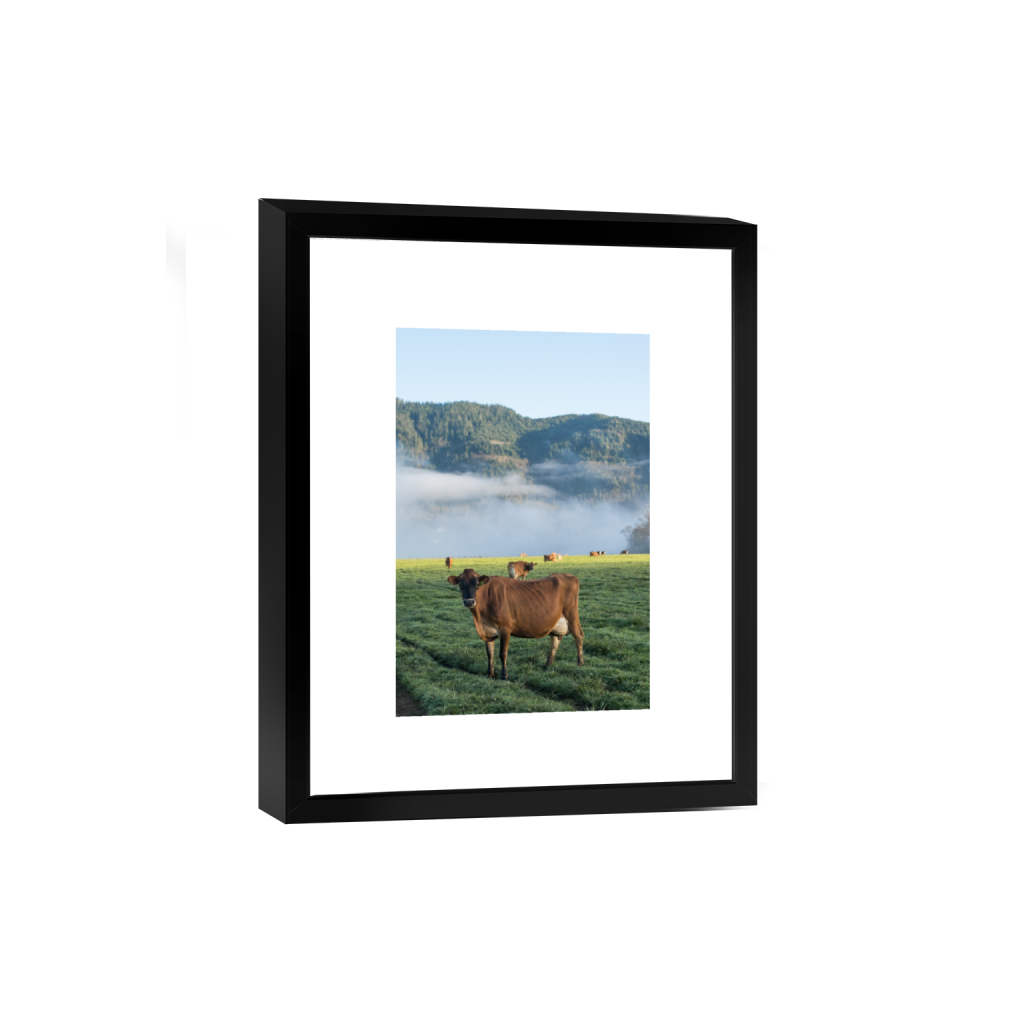 smartframe_rectangle2_3_0_0_2581_3871_0.png