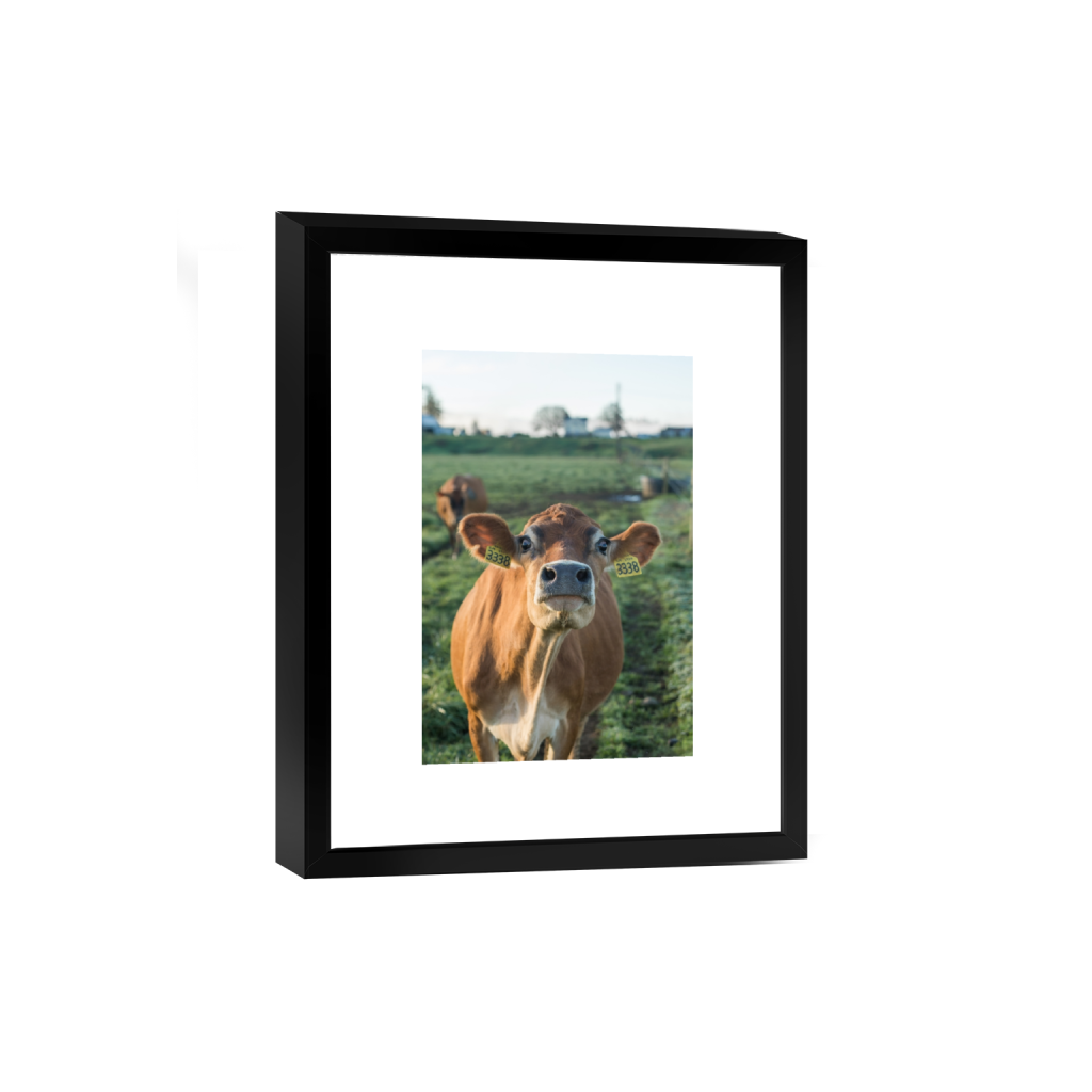 smartframe_rectangle2_3_0_0_2581_3871_0.png