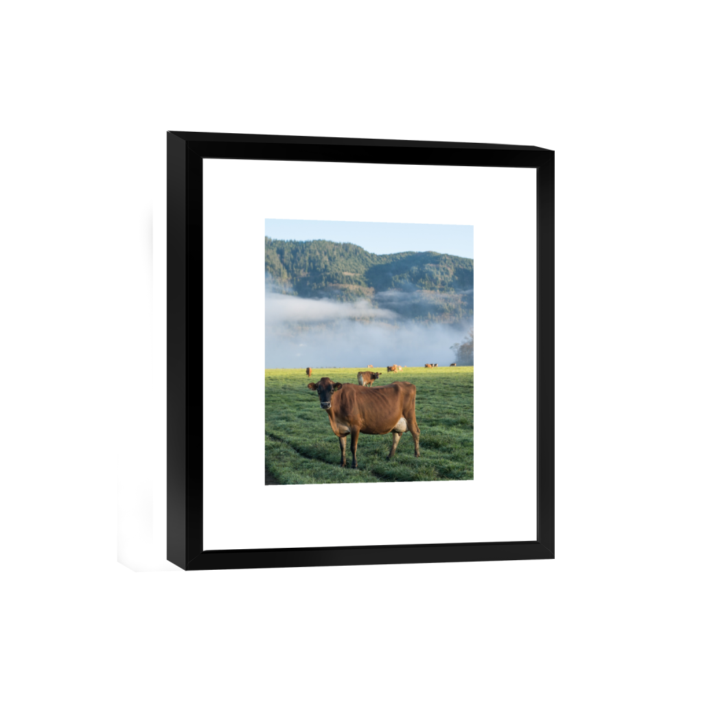 smartframe_rectangle4_5_0_484_2581_3226_0.png