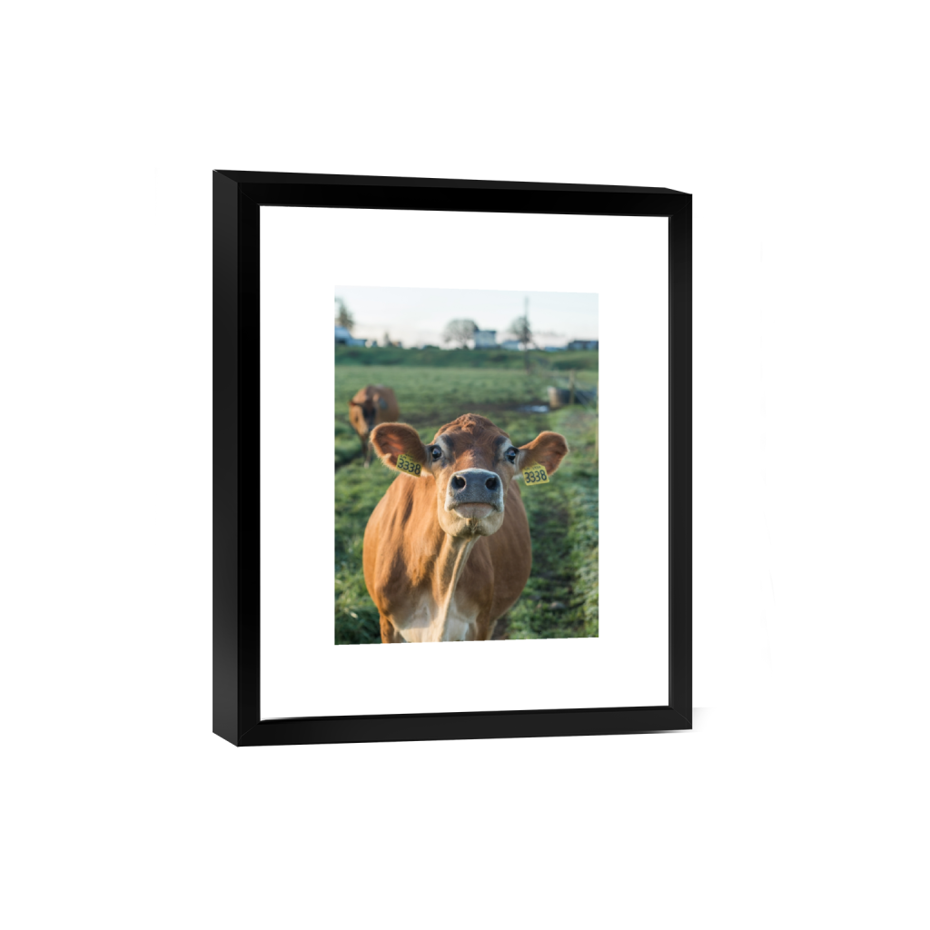 smartframe_rectangle3_4_0_215_2581_3441_0.png