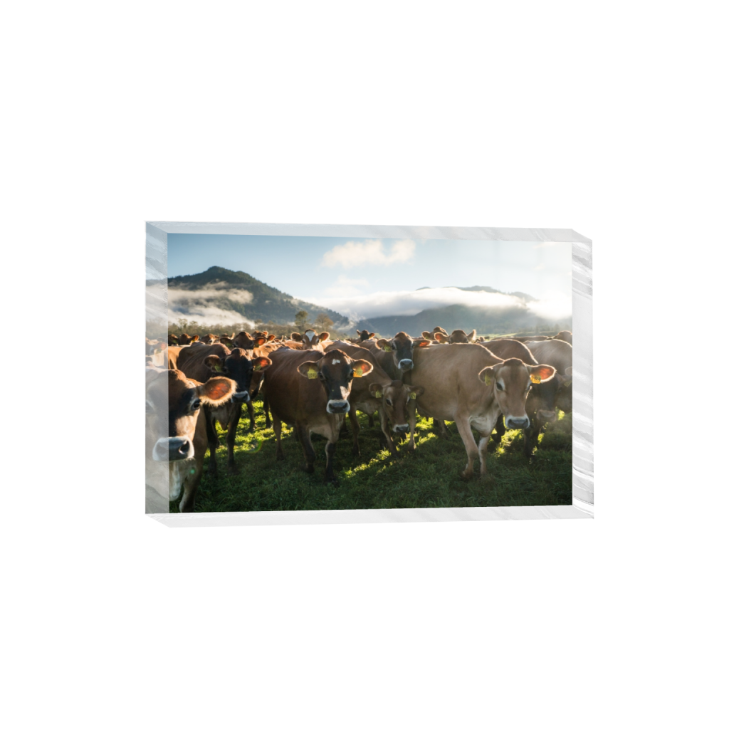 acrylicdesktopprint_rectangle2_3_328_0_3558_2372_0.png
