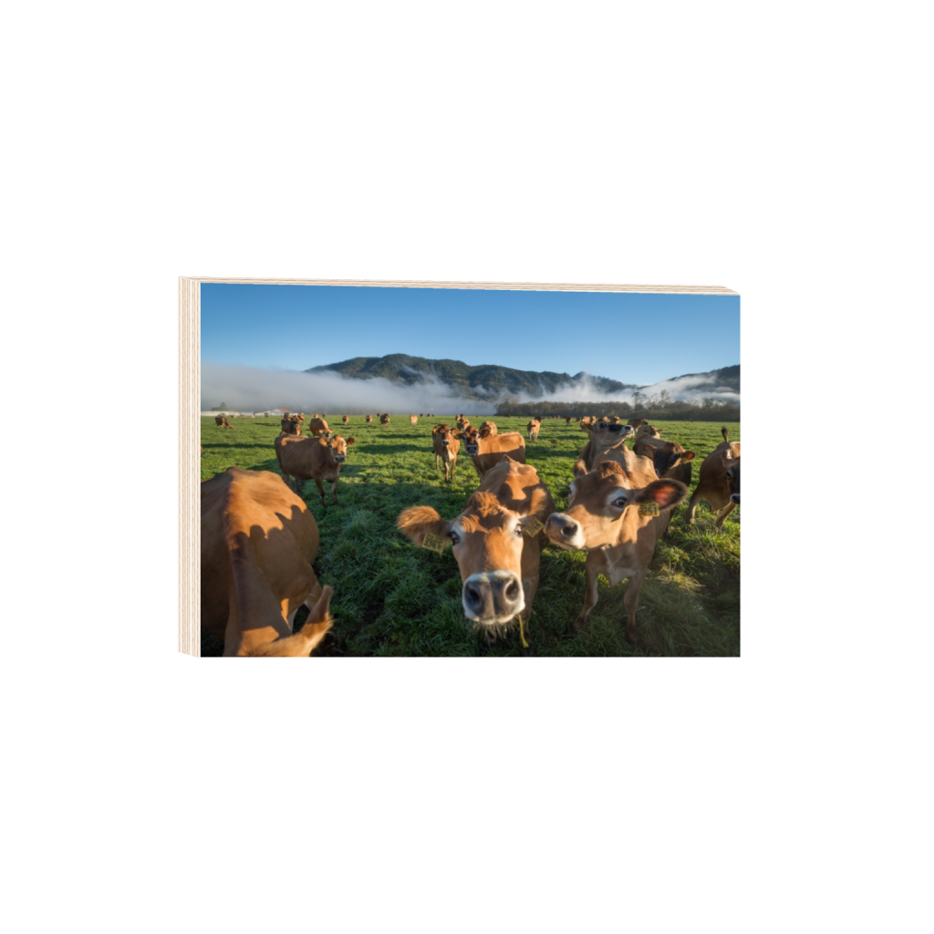 woodprint_rectangle2_3_0_0_3871_2581_0.png