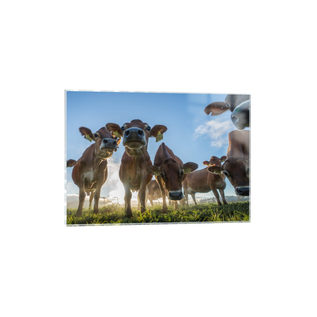 acrylicprint_rectangle5_7_906_0_3320_2372_0.png