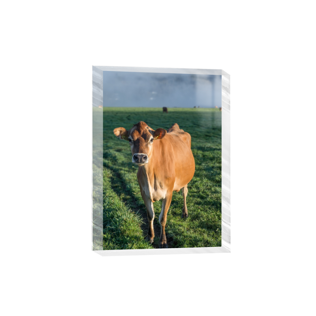 acrylicdesktopprint_rectangle5_7_0_258_2581_3613_0.png