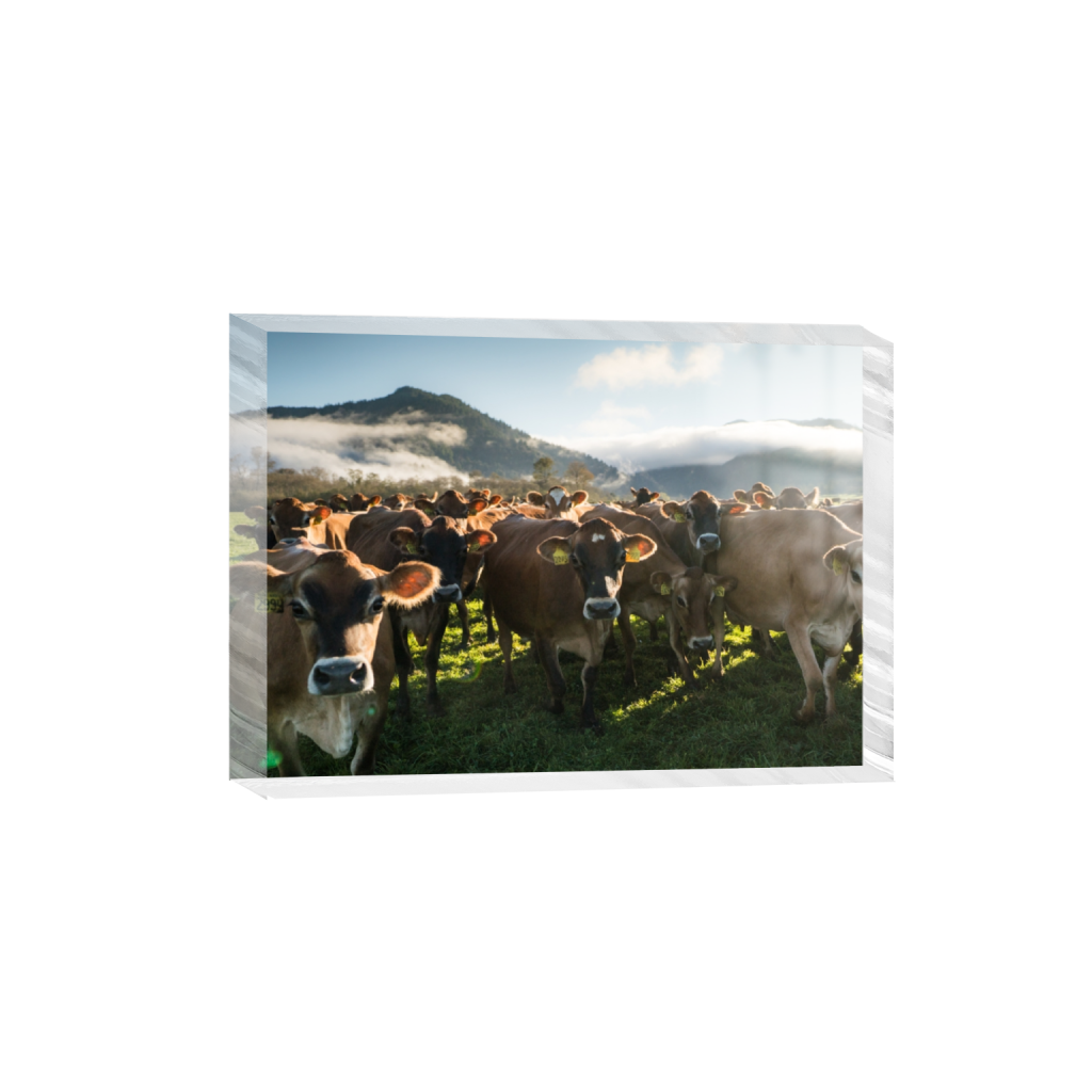 acrylicdesktopprint_rectangle5_7_0_0_3320_2372_0.png