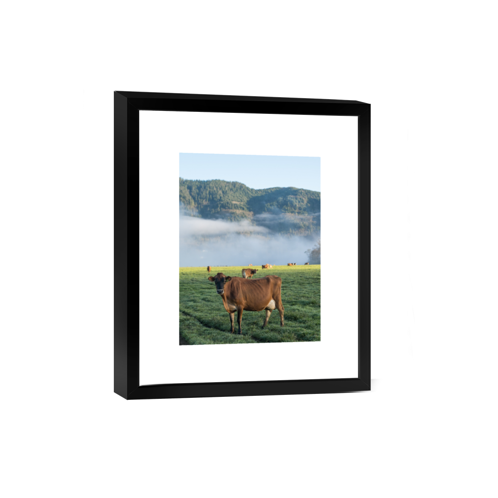 smartframe_rectangle3_4_0_258_2581_3441_0.png