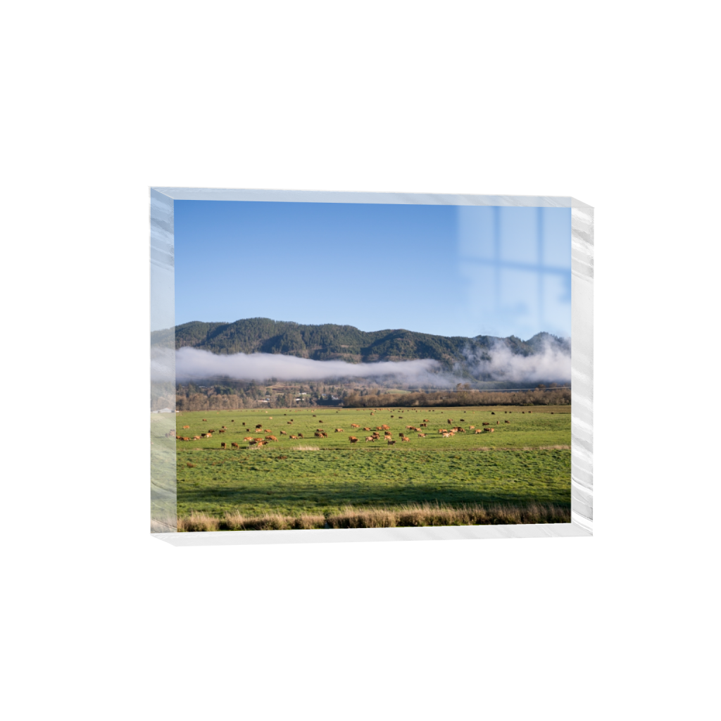acrylicdesktopprint_rectangle4_5_322_0_3226_2581_0.png