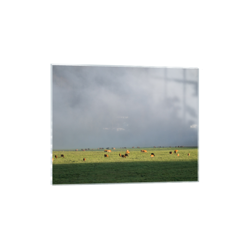 acrylicprint_rectangle4_5_322_0_3226_2581_0.png