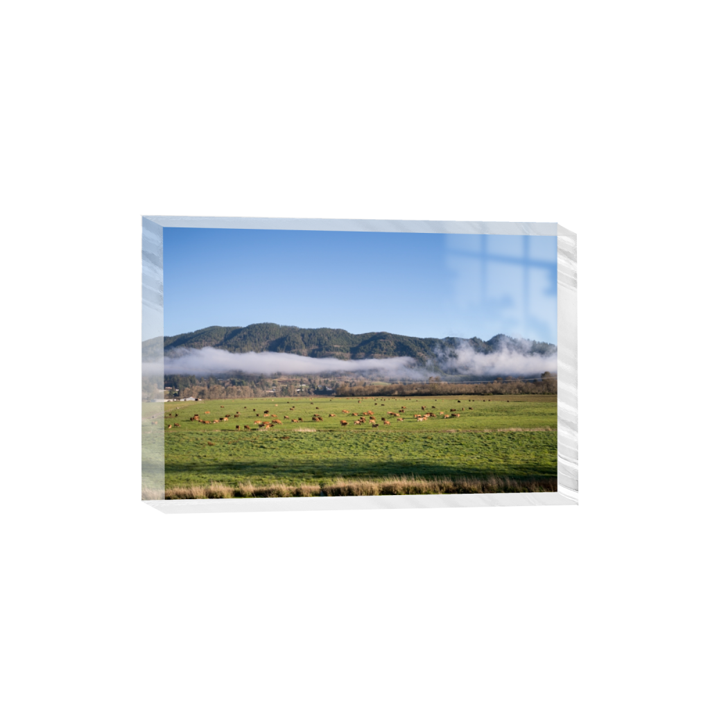 acrylicdesktopprint_rectangle2_3_0_0_3871_2581_0.png
