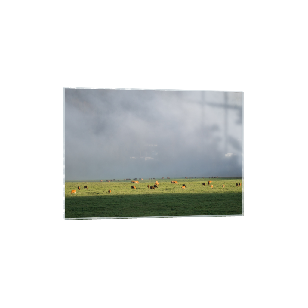 acrylicprint_rectangle5_7_129_0_3613_2581_0.png
